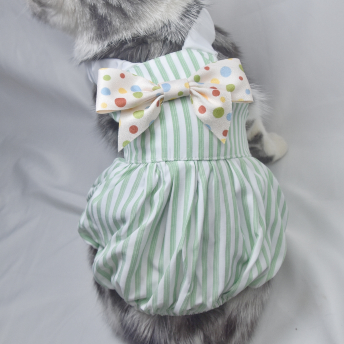 春夏宠物衣服蝴蝶结糖果条纹吊带裙猫咪泰迪博美小型犬公主裙子