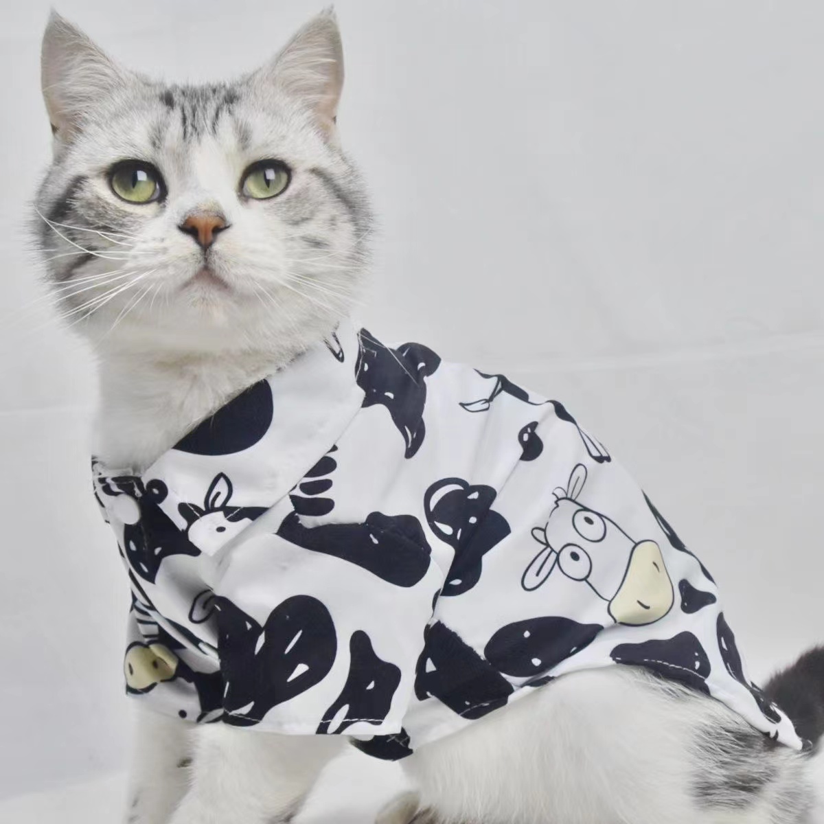 宠物狗狗猫咪衣服春夏薄款奶牛衬衫泰迪雪纳瑞猫咪比熊中小型犬衣