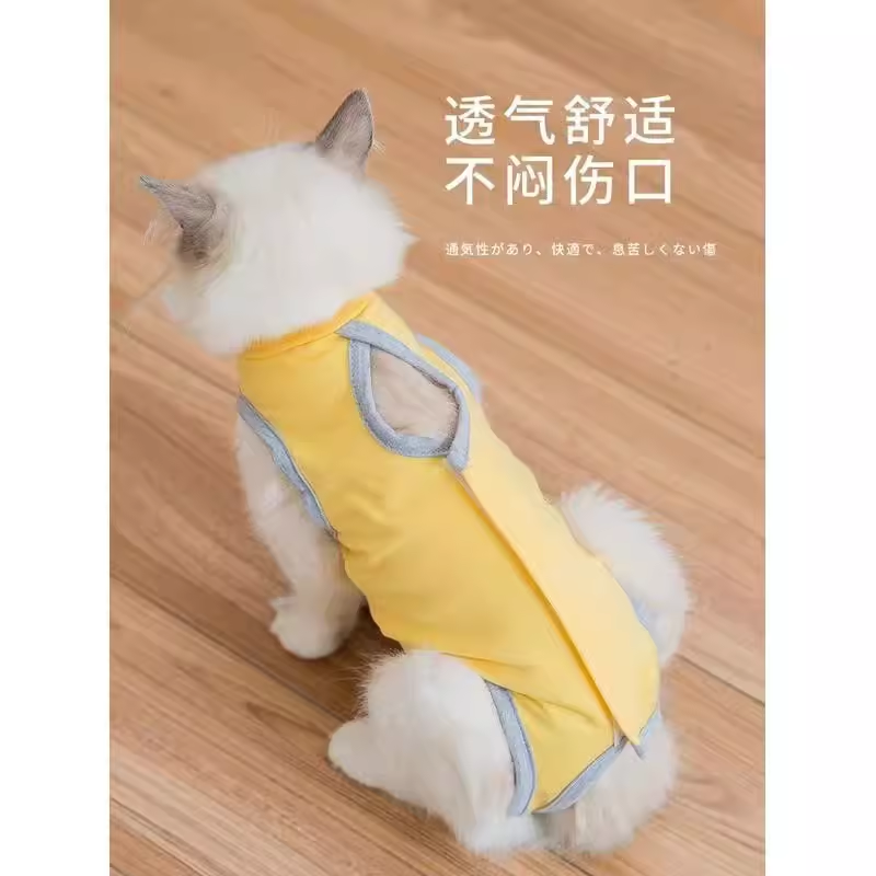 猫咪绝育服猫猫母猫公猫手术服断奶防掉毛术后防舔毛用品宠物衣服