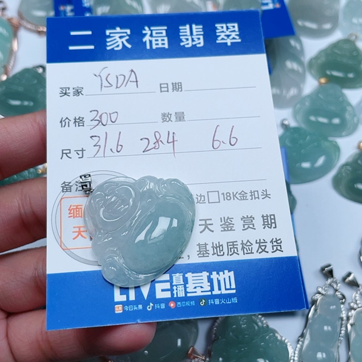 【闪购商品】翡翠颈饰18K金镶嵌Y**A