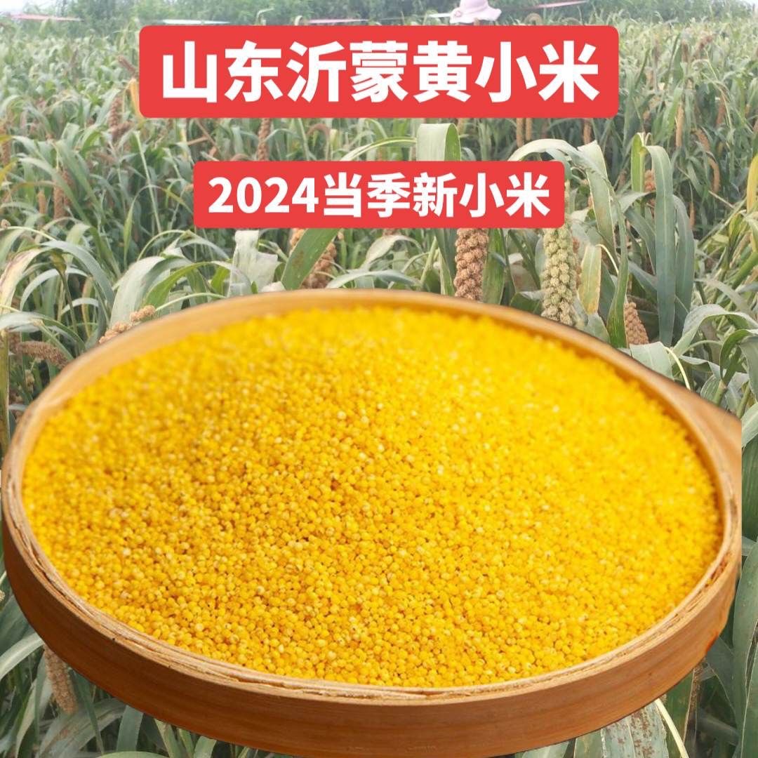 【大飞年货福利专属】黄小米农家山地小米春谷子1/2/3/5斤