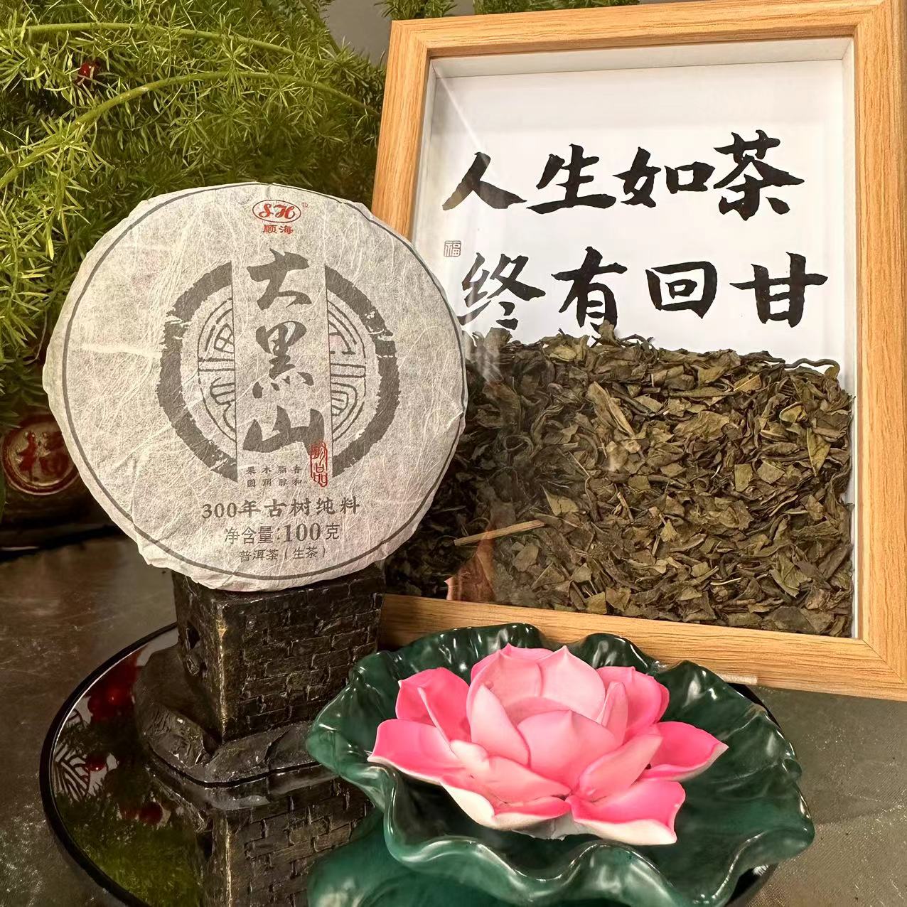 茶园世家SH珍品大黑山古树纯料普洱100g/饼 生普