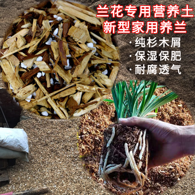 【营养土植料】兰花专用土养兰植料君子兰蝴蝶兰兰科肥料营养液
