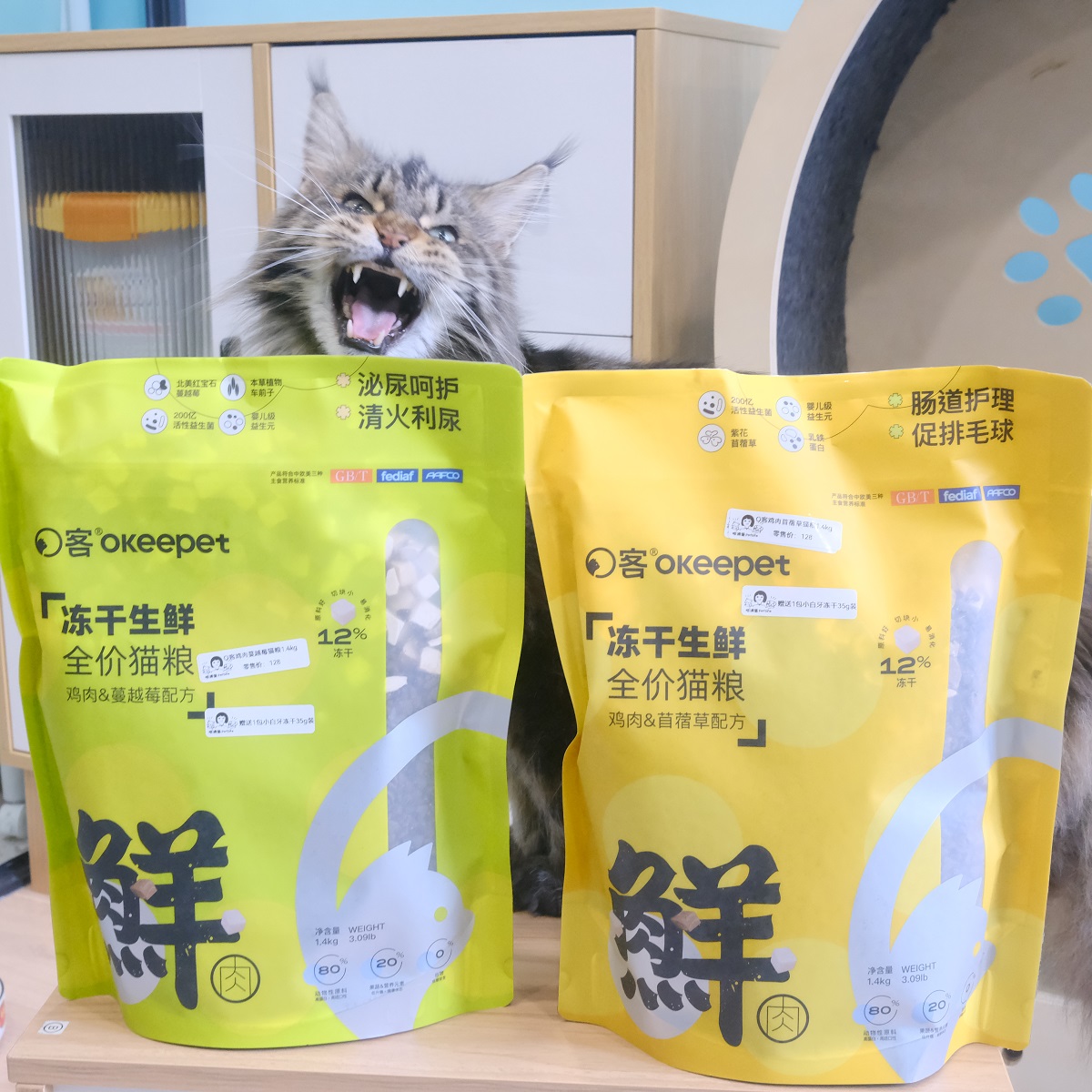 啦调酱 O客鲜肉猫粮鸡肉冻干去毛球泌尿呵护肠道成幼猫全价猫粮