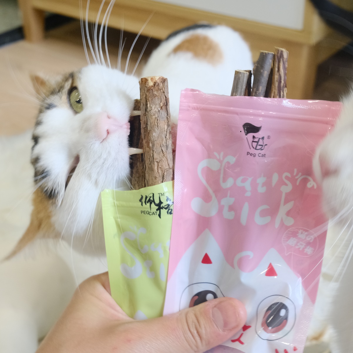 啦调酱 佩格小猫木天蓼棒让喵上头的磨牙棒猫薄荷洁齿棒缓解应激