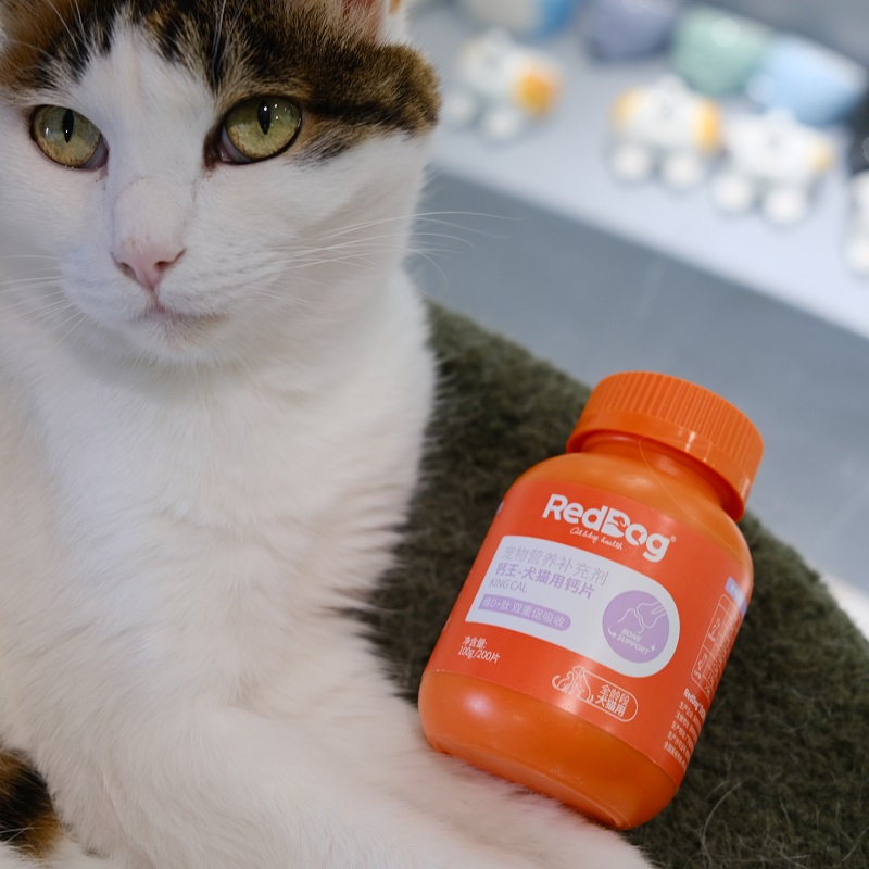 啦调酱 钙王猫咪狗狗专用钙片宠物骨质疏松健骨补钙 200片