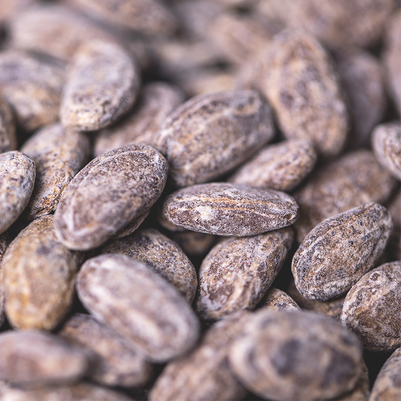 薛记炒货吊瓜子88g*3袋 大颗粒瓜子新货坚果炒货原味特产休闲零食