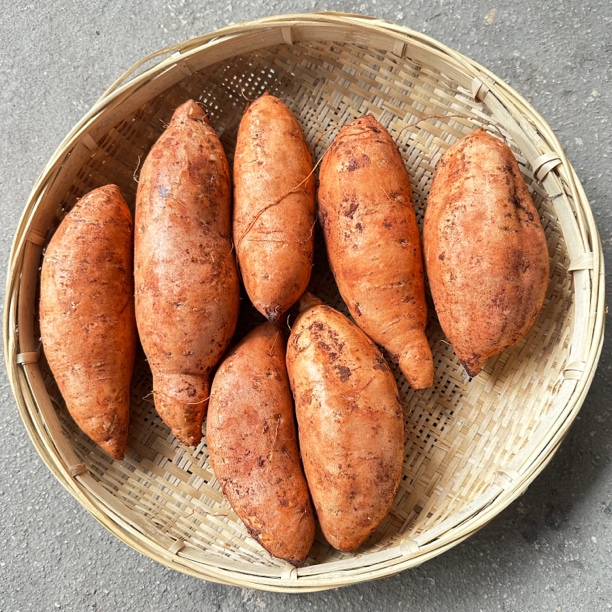 云南本地蜜薯红薯番薯粉红薯糯红薯地瓜农家自种