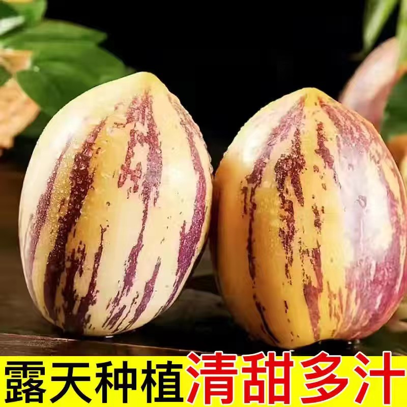 云南人参果石林长果清甜多汁皮薄爽口果香产品新鲜成熟采摘-包邮