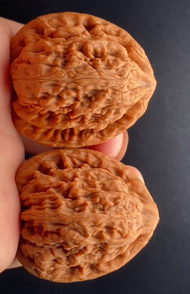 #蓟县虎头王 【编号232-193】 边42肚405高46全品无修