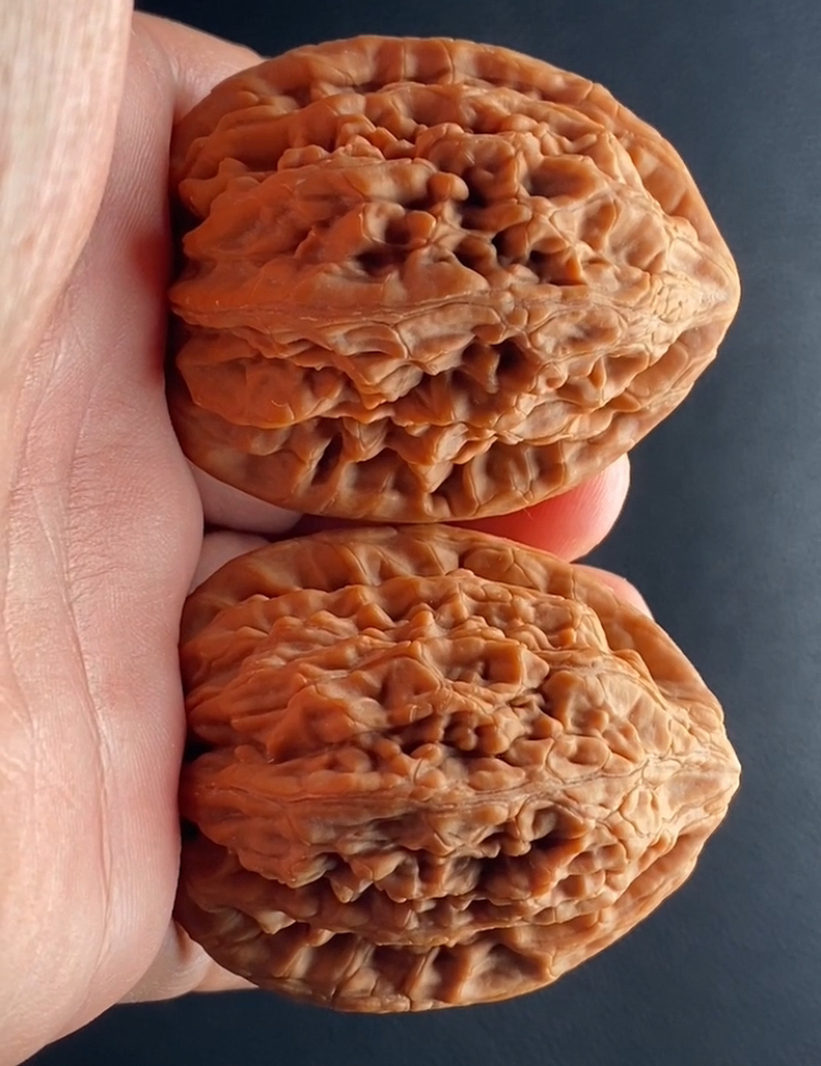 #蓟县虎头王核桃 【编号232-196边40肚43高50干透锁尺52克