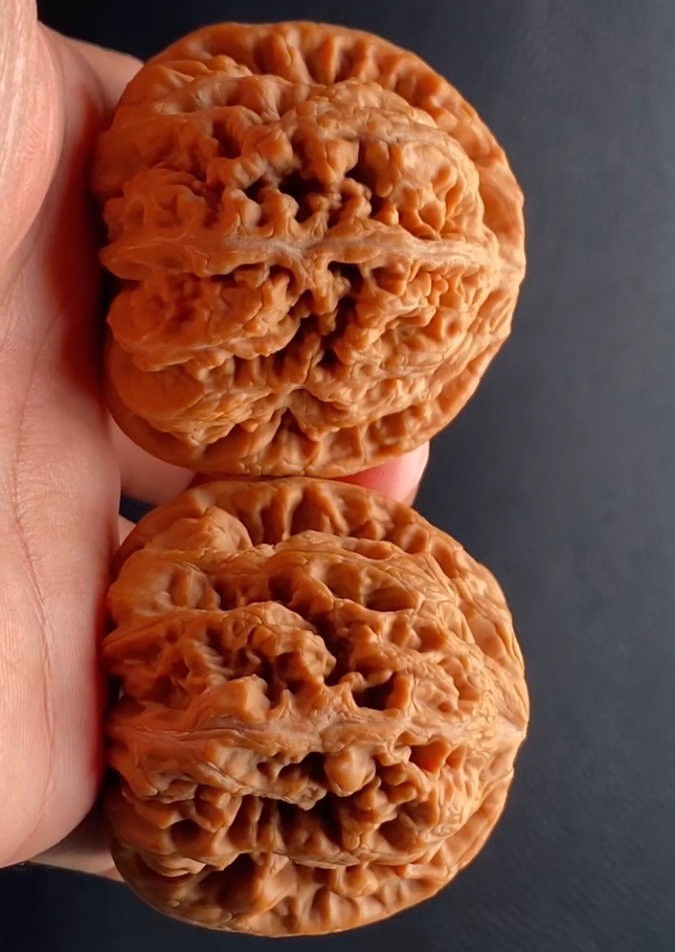 #大粗筋 教科书，边45肚45高42全品六面精配，干透锁尺克重62克