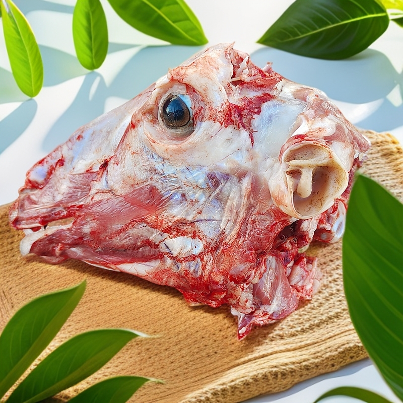 《散放小山羊头》【现场称重，两个起拍，现场分割，分割不退】