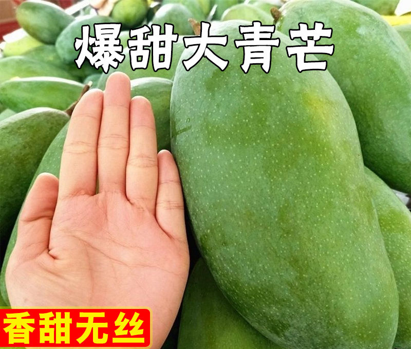 正宗越南大青芒果整箱9斤当季新鲜水果薄皮甜心芒金煌芒果特大果
