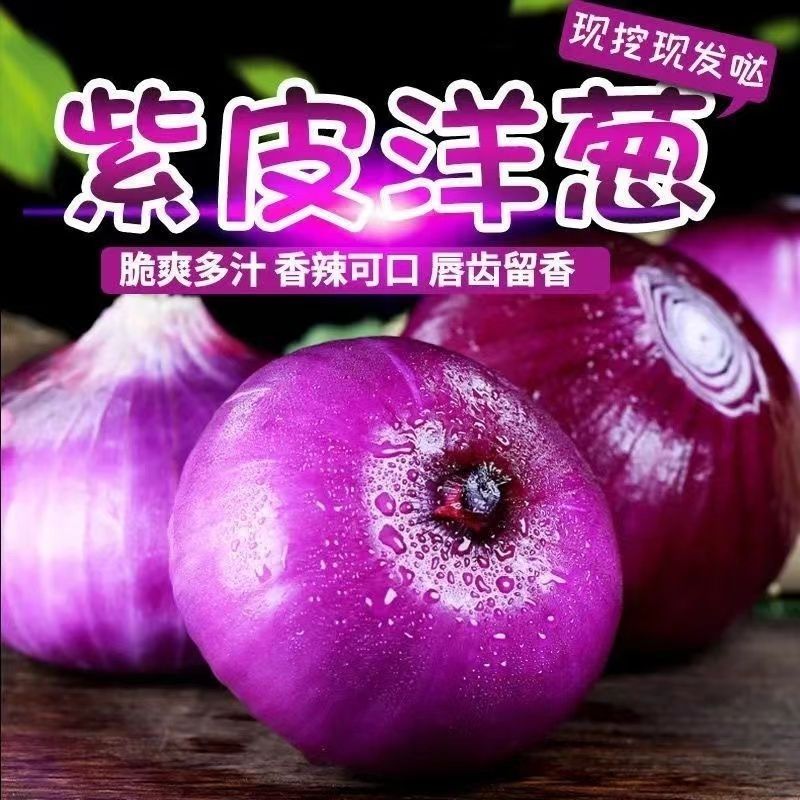 陕西宝鸡正宗新鲜紫皮洋葱农家现挖自种的紫皮洋葱当季整箱包邮