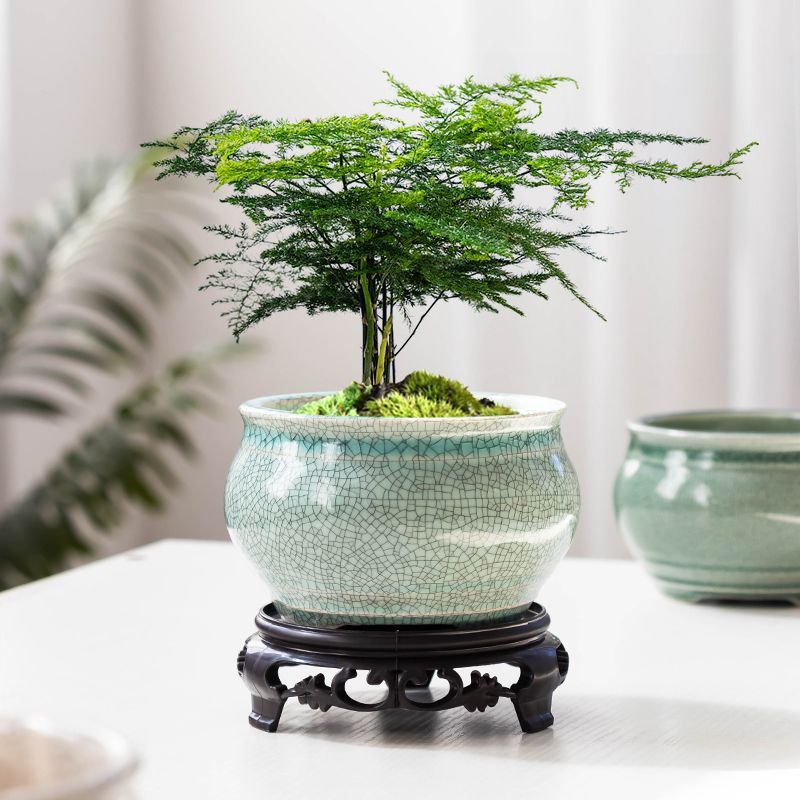 哥窑文竹花盆客厅月季绿植盆景盆圆形中式办公室多肉老桩盆景摆件