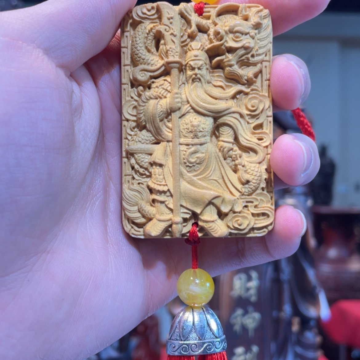 【闪购商品】黄杨木