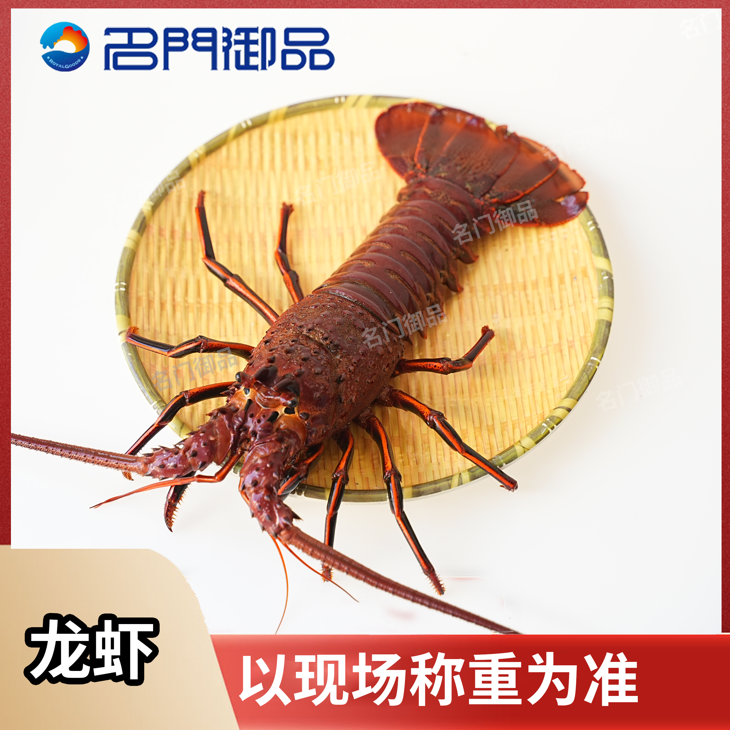 【缺氧红龙】龙虾1号福建省内可拍保鲜不活