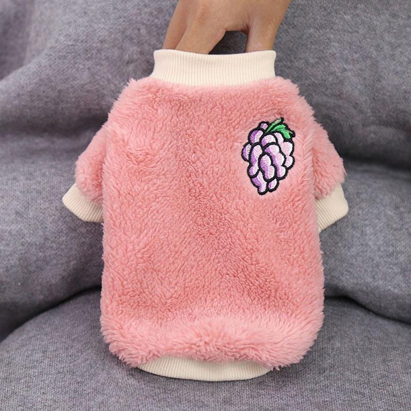 小奶狗衣服新款两脚保暖绒狗狗猫咪泰迪比熊宠物秋款服饰用品