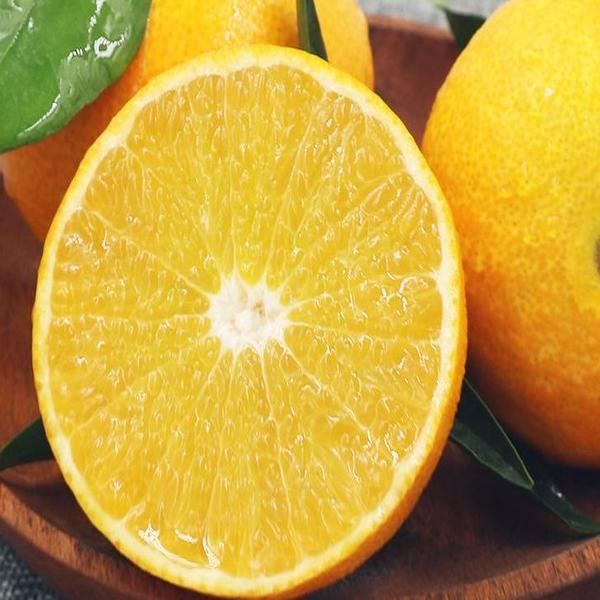 爱媛38号果冻橙 约3斤 中大果