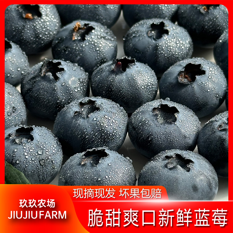 云南花香蓝莓6/8盒100g新鲜水果多仓发货