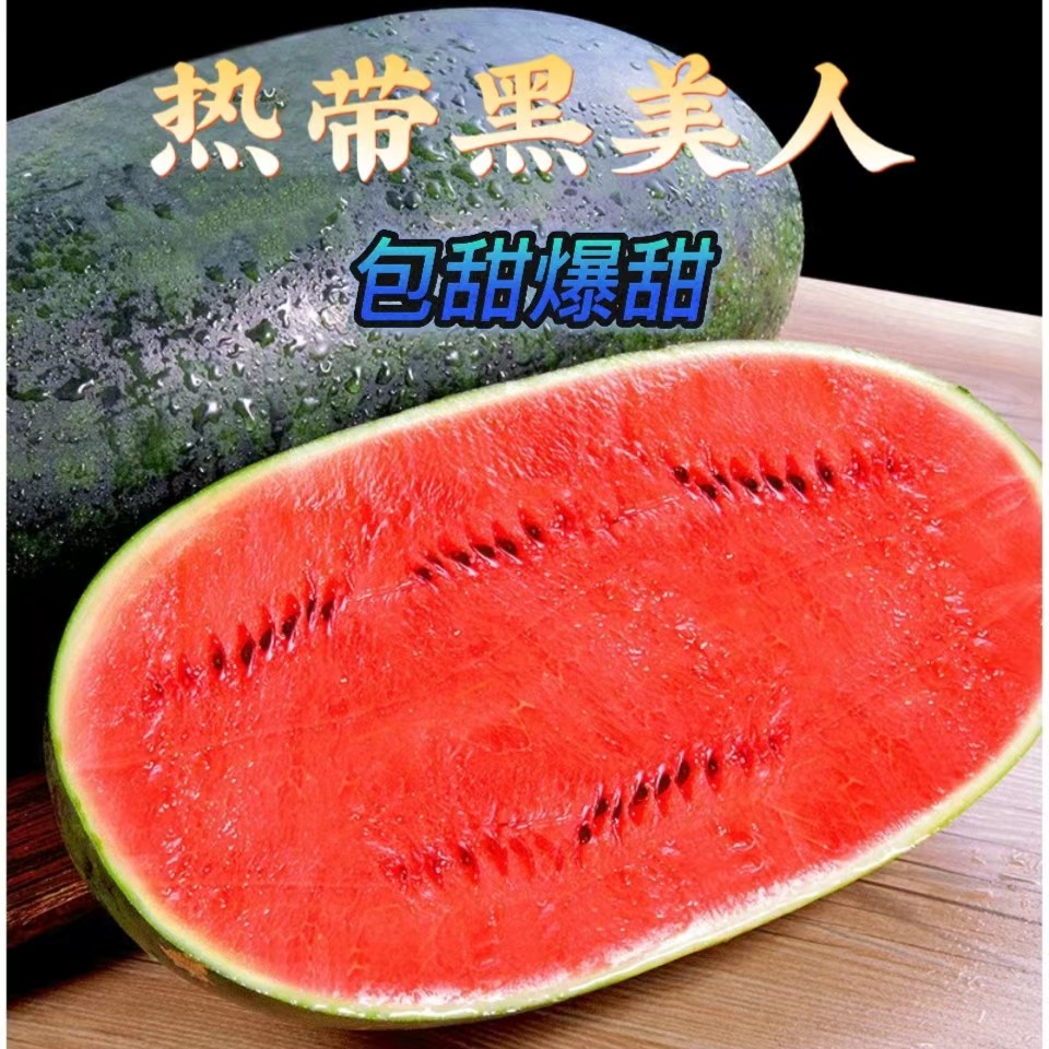 【范哥专属一级瓜】热带黑美人新鲜脆甜多汁农家头茬瓜4-9斤香甜