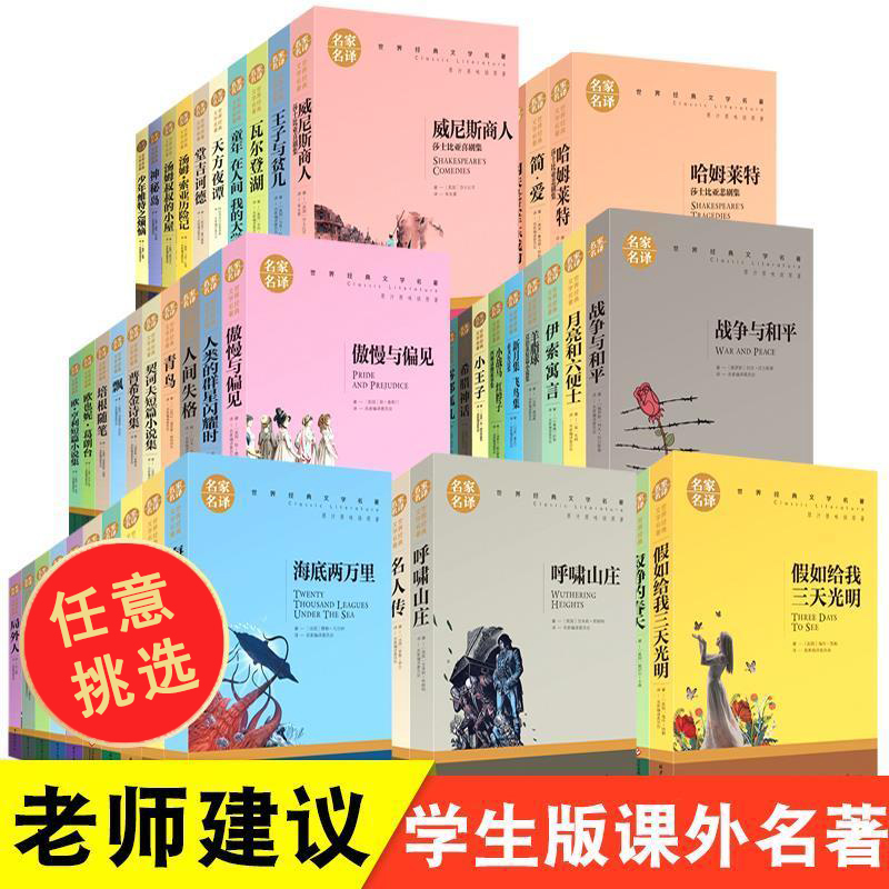 世界名著正版百万英镑海底两万里简爱钢铁我是猫中小学生课外阅读