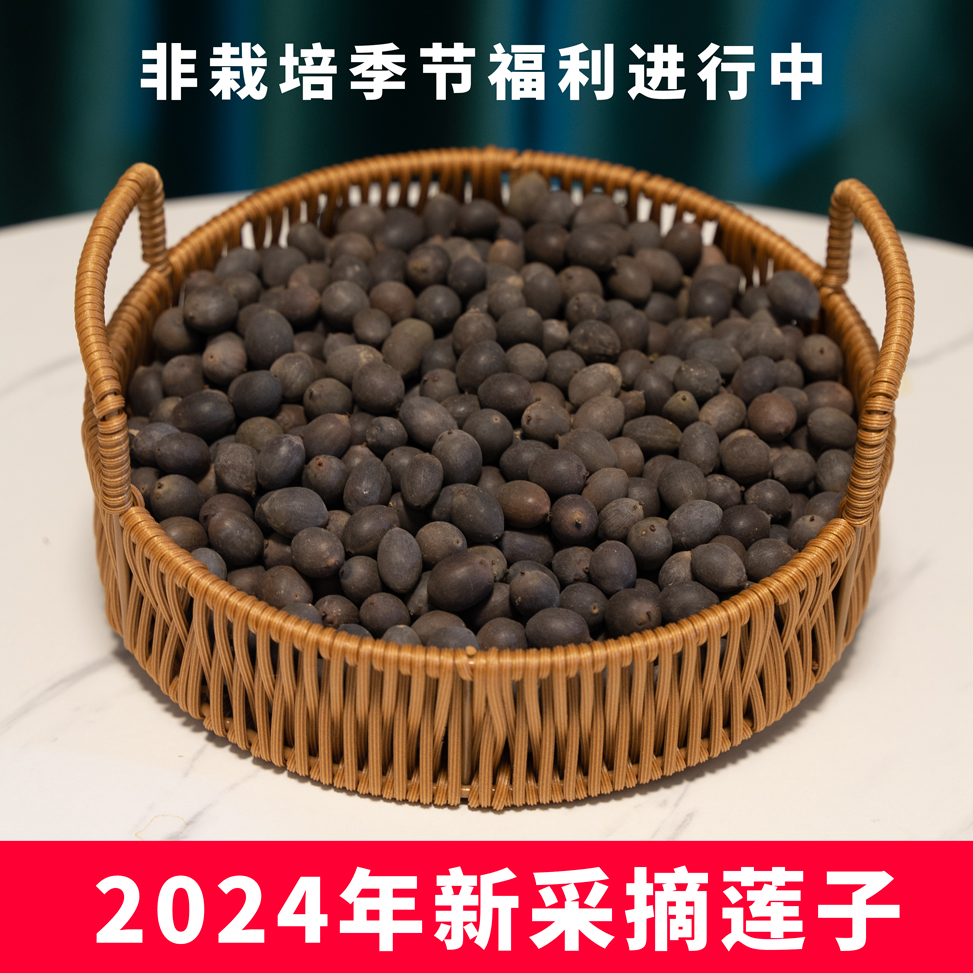 碗莲种子5粒
