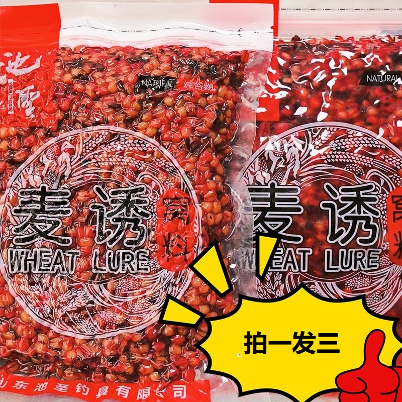 池圣野钓打窝手竿麦诱麦粒窝料