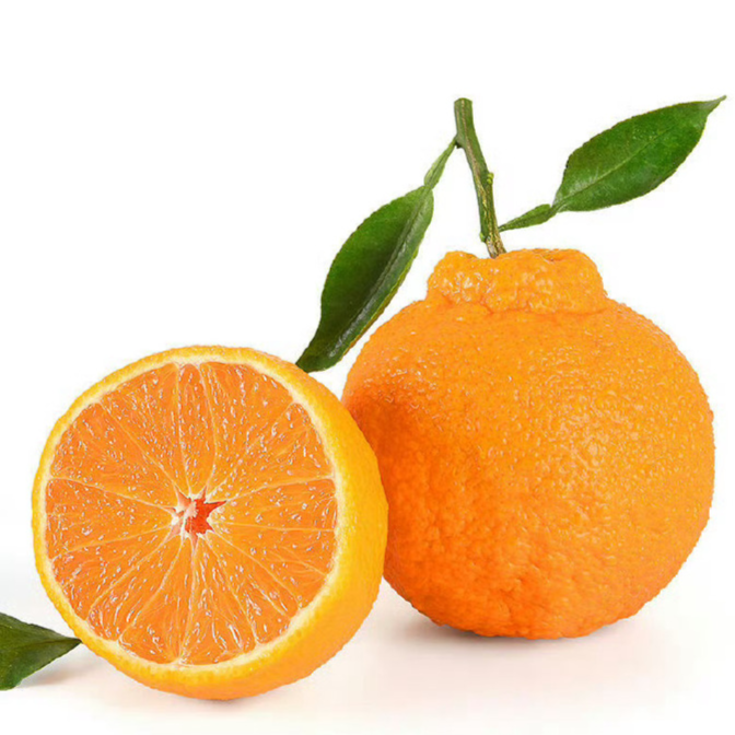 新鲜 丑橘 1500 g内蒙古自治区