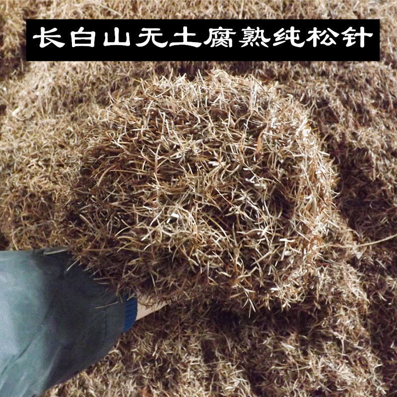 松针土松针土腐叶腐熟松针多肉君子兰专用松针腐殖土花土