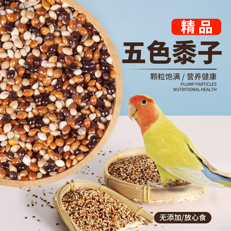 鹦鹉鸟粮饲料五色黍子带壳谷子混合粮食玄凤牡丹虎皮专用鸟食天然