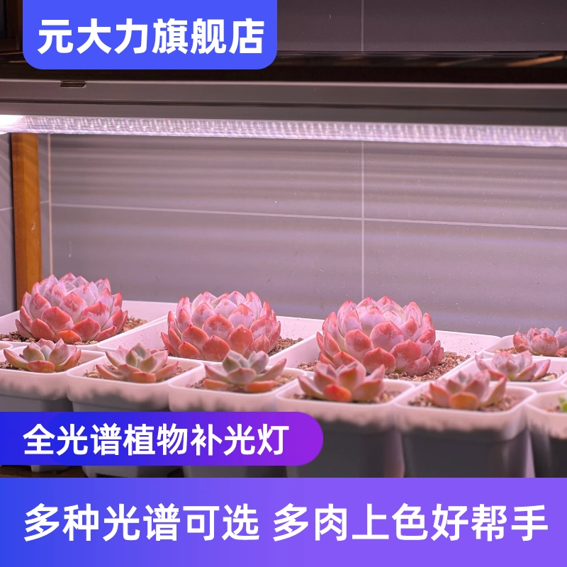 元大力多肉补光灯T20灯管全光谱植物补光灯LED多肉补光灯防徒
