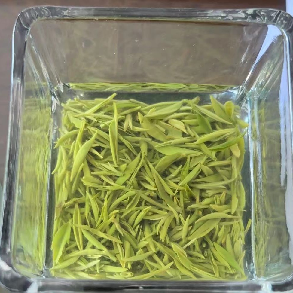 新茶明前高山老旱茶小米芽