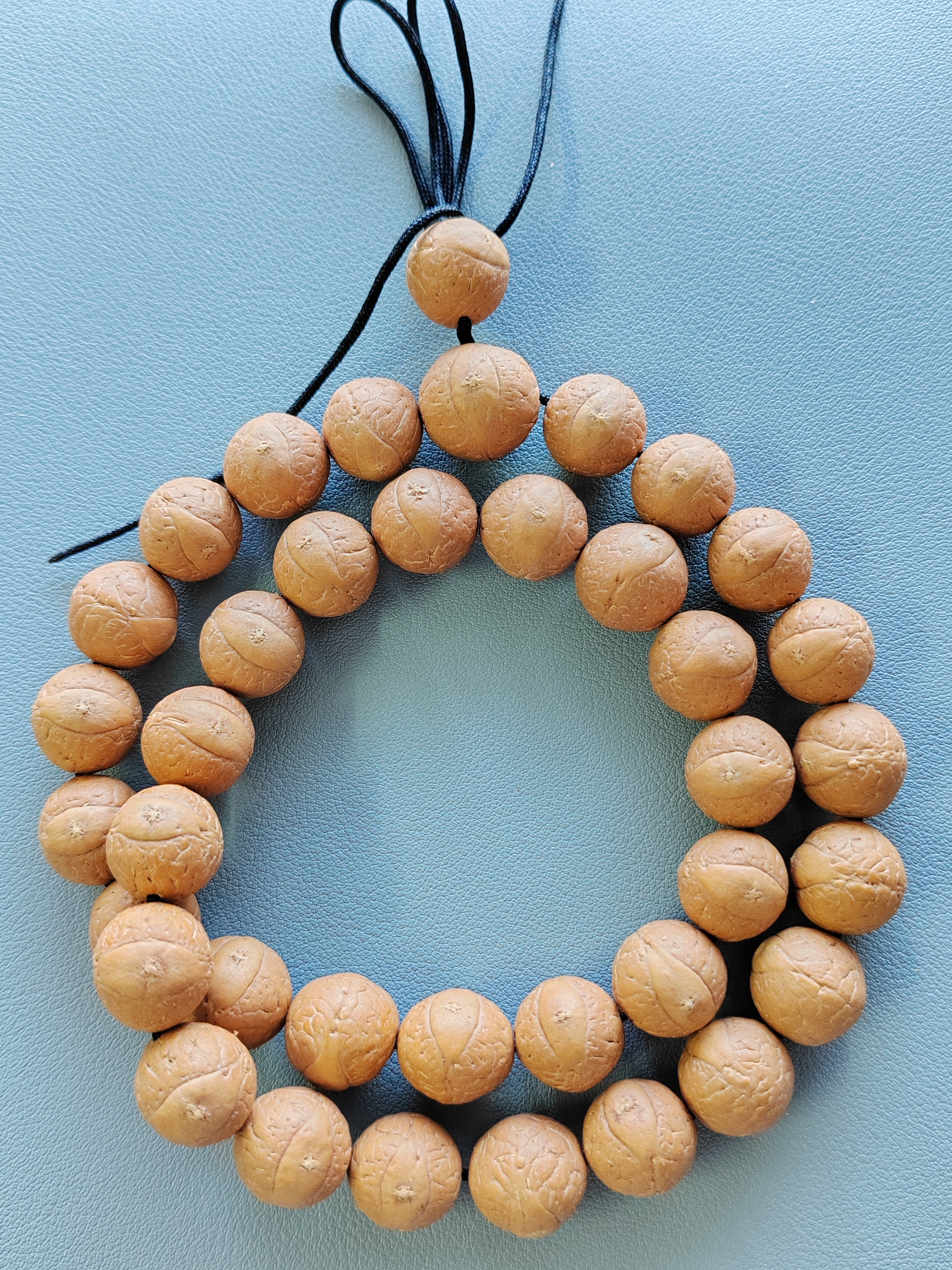 wf181》14.5+mm尼泊尔凤眼菩提精挑手串36颗