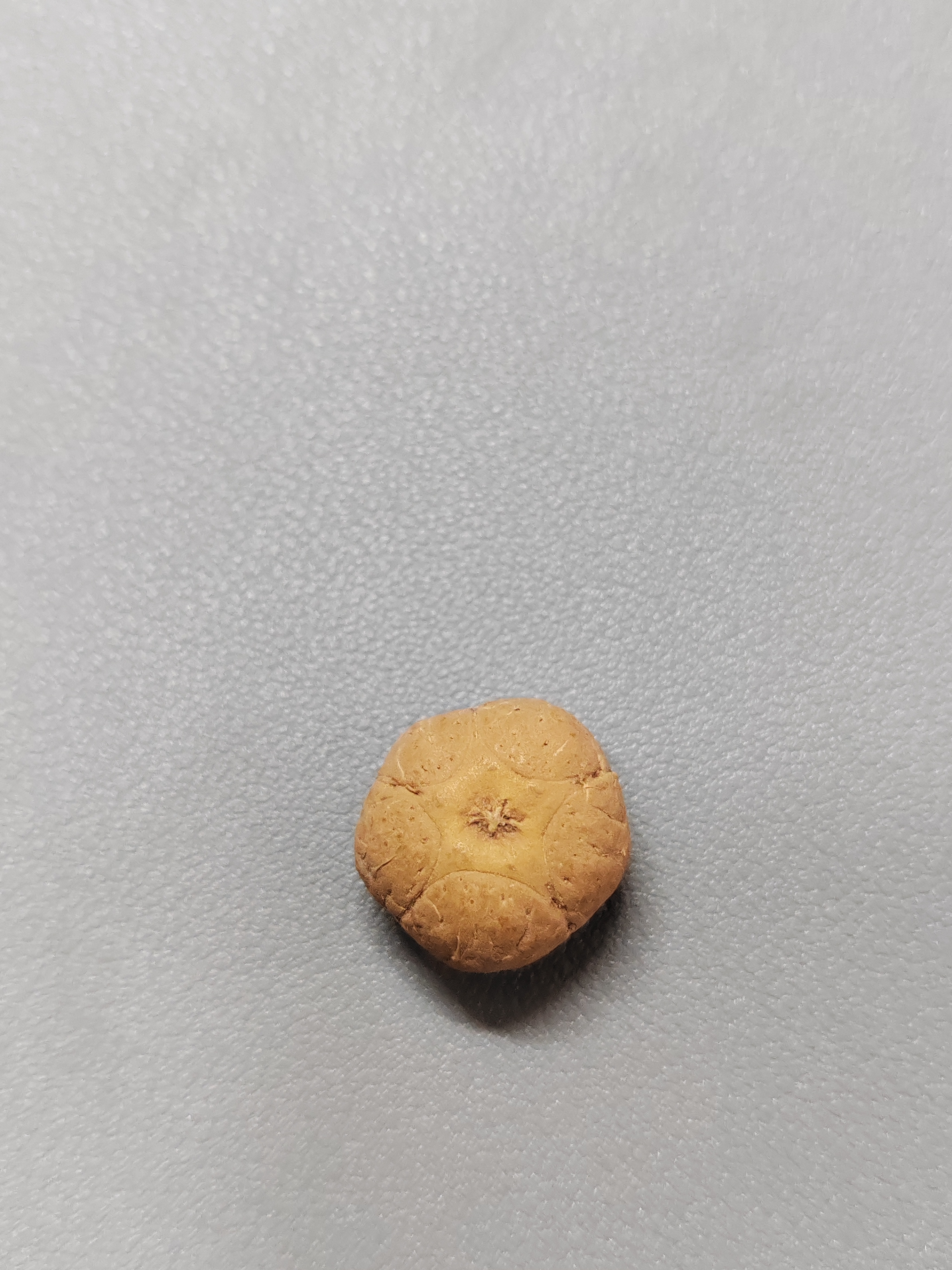 【WF518002】24年新籽直径18mm厚12mm五星单颗尼泊尔凤眼菩提