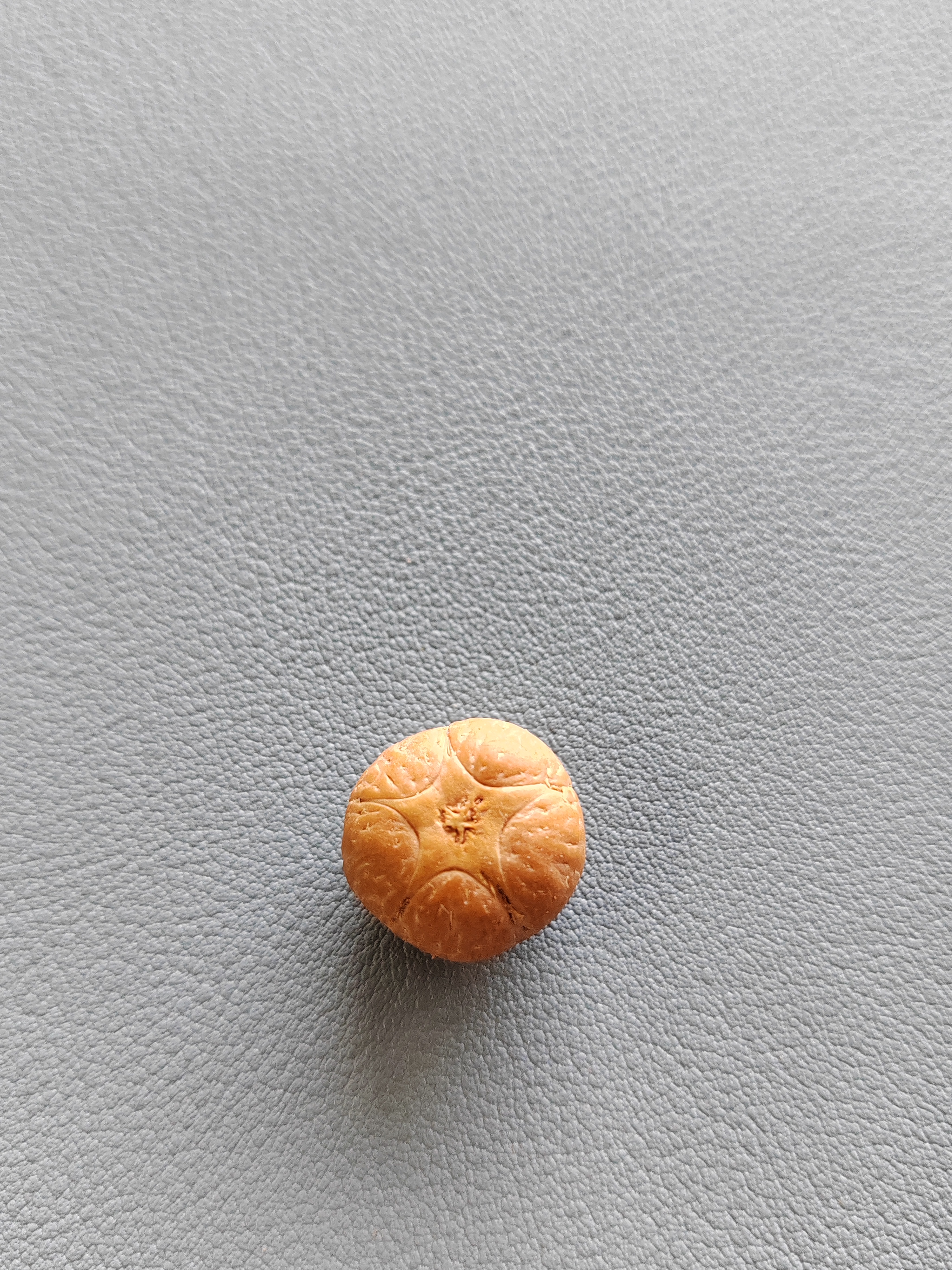 【WF51612】直径16.3mm厚12mm五星单颗尼泊尔凤眼菩提