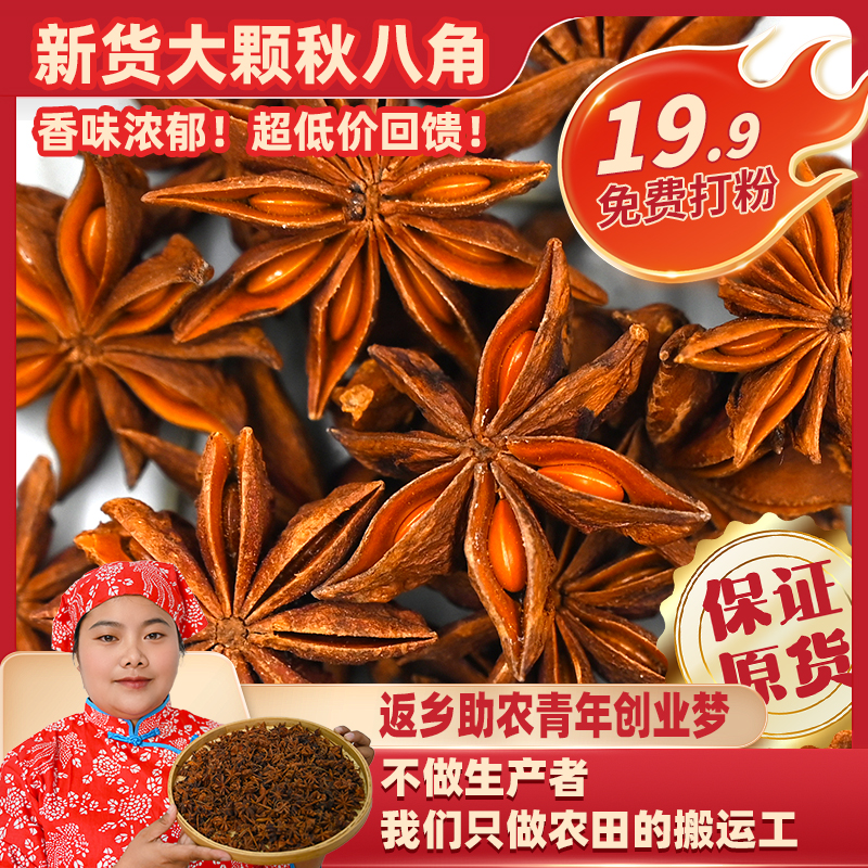 广西特产八角大料无硫磺提香去腥家庭常用调料炖肉提香调味料