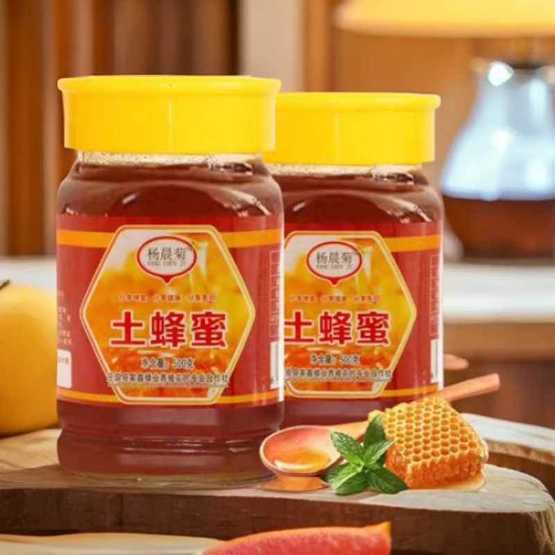 YANGCHENJU/杨晨菊甘肃庄浪县野生农家自产土蜂蜜（买一送一）