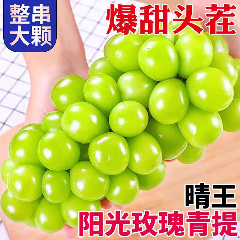 阳光玫瑰  晴王级  每斤11元  单串2到4斤