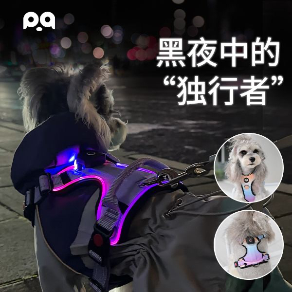 LED发光狗狗胸背USB充电夜间遛狗安全宠物牵引背心