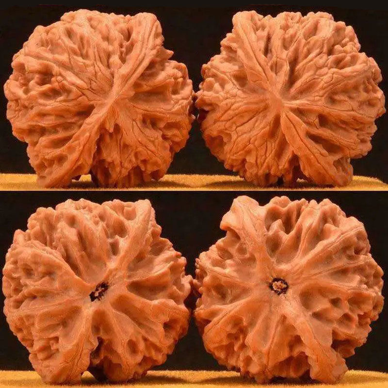 山地苹果园文玩核桃 爆肉款 原装