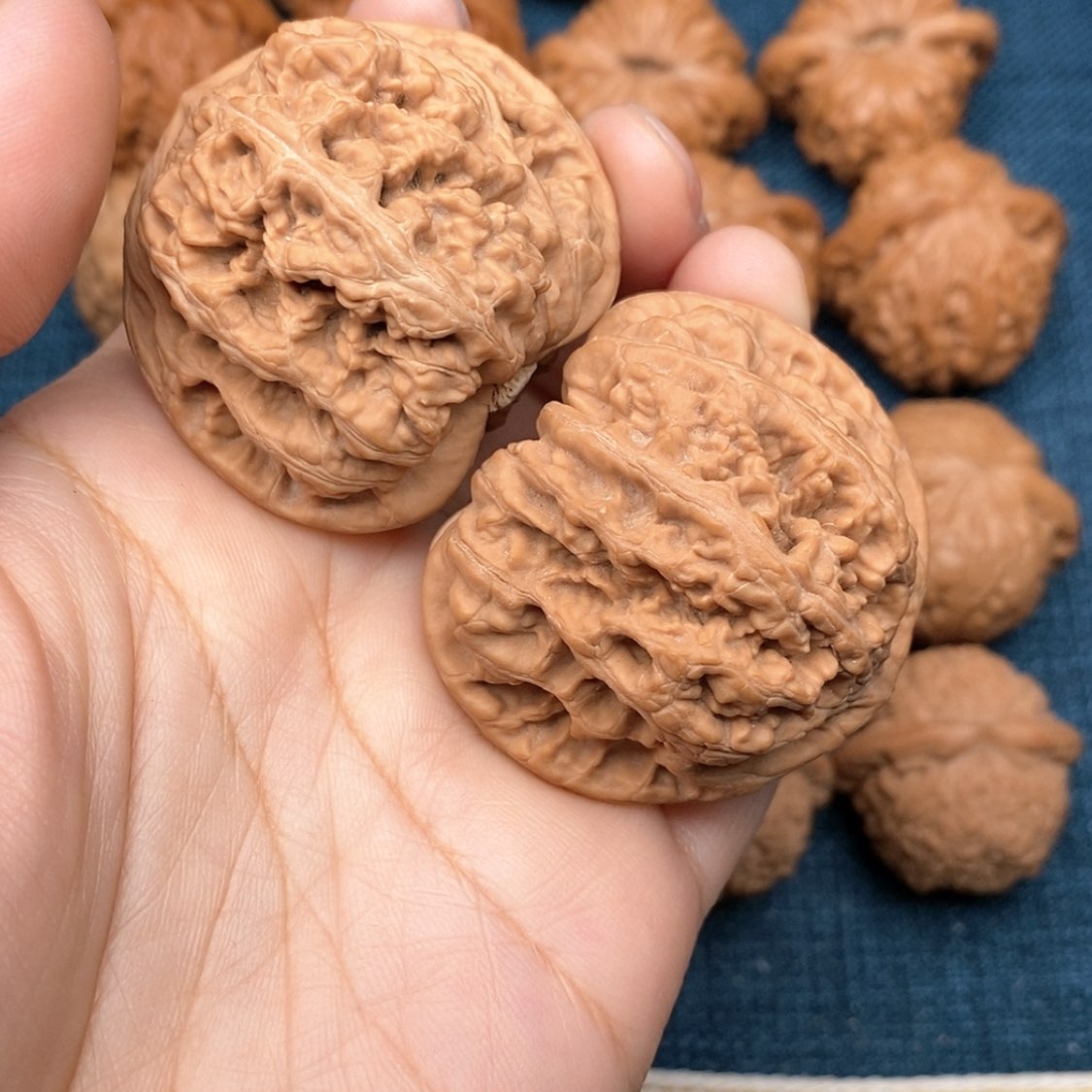 【闪购商品】文玩核桃把件王*墩