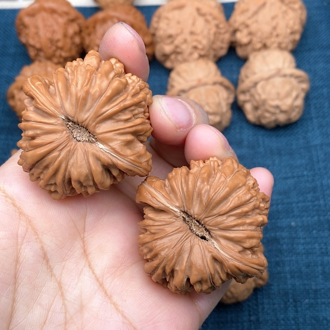 【闪购商品】文玩核桃把件D****Y