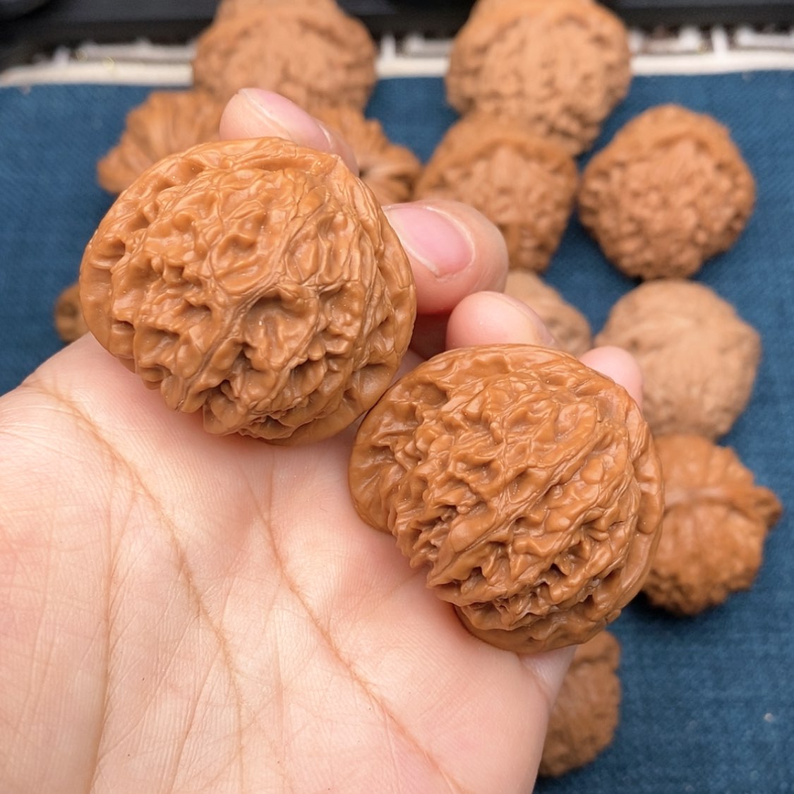 【闪购商品】文玩核桃把件38全品灯