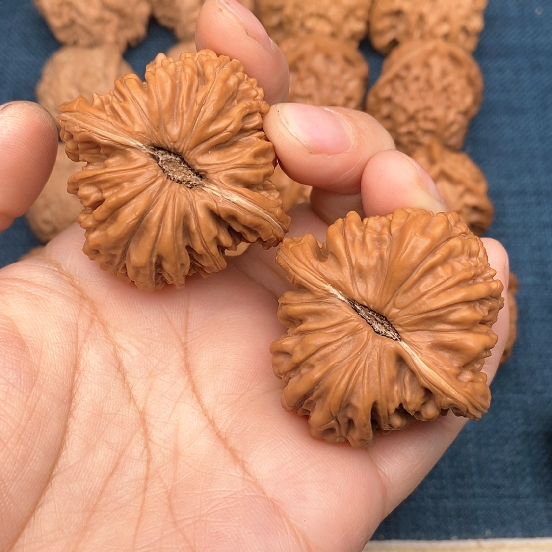 【闪购商品】文玩核桃把件渡***。
