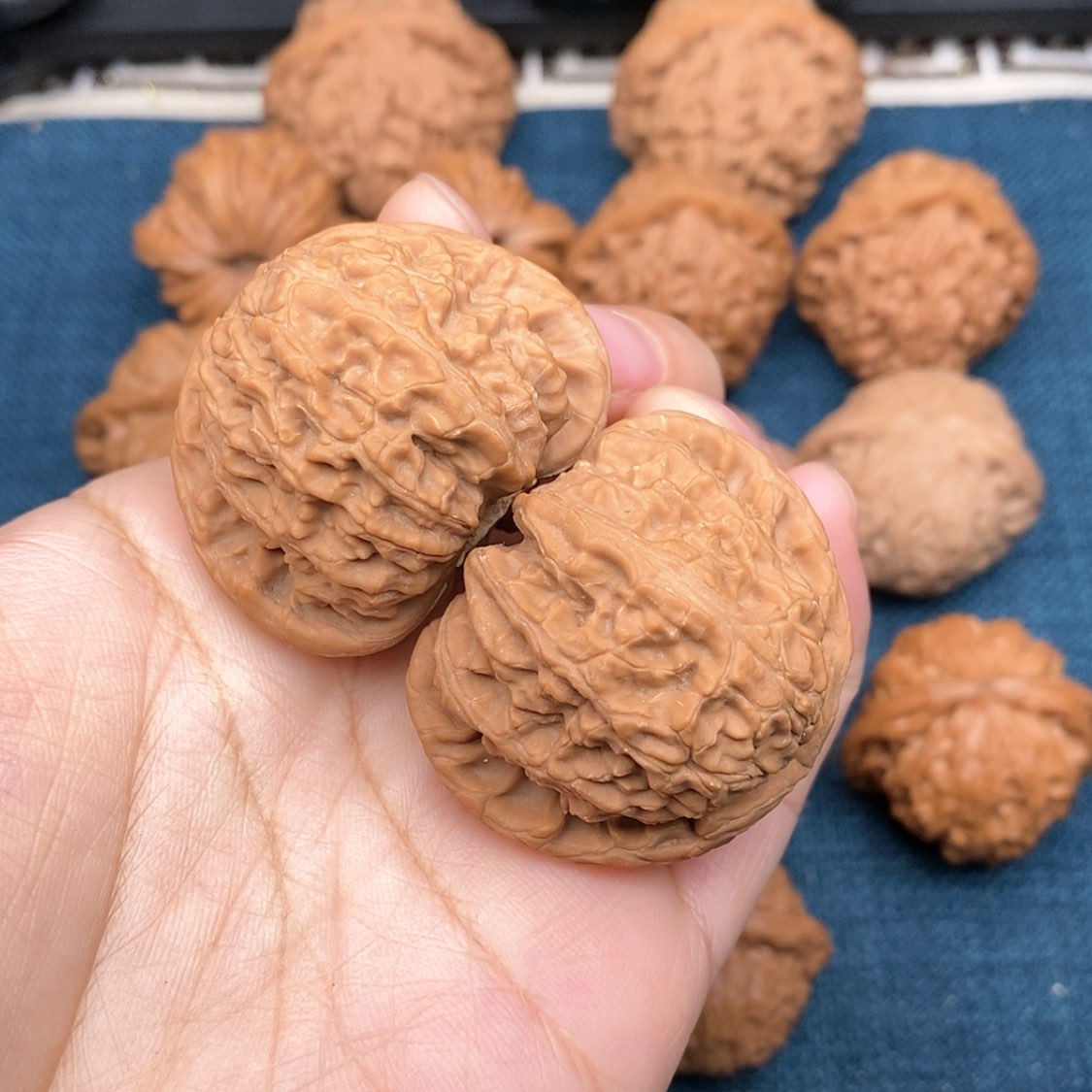 【闪购商品】文玩核桃把件聪**?