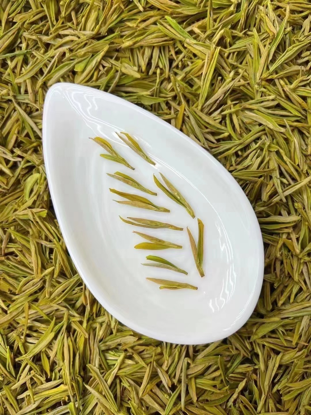 A1188小芽黄金芽毛尖招牌茶明前黄金芽奶香味十足小信阳毛尖新茶