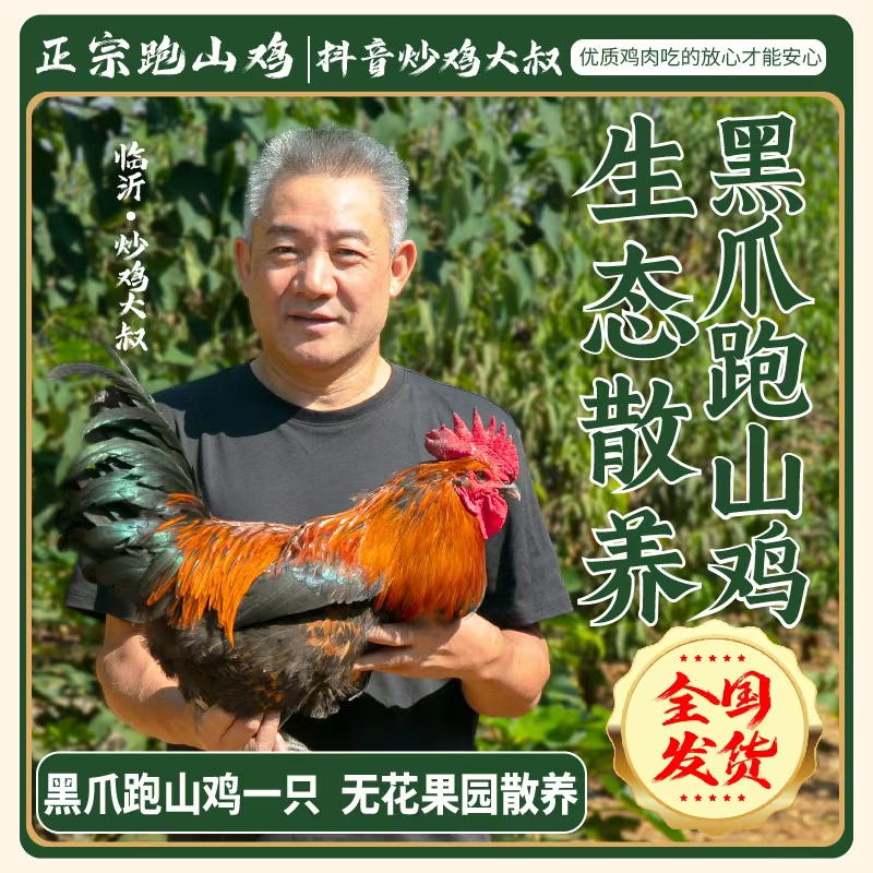 熟鸡  一年半左右 家庭装  临沂散养地锅小公鸡  