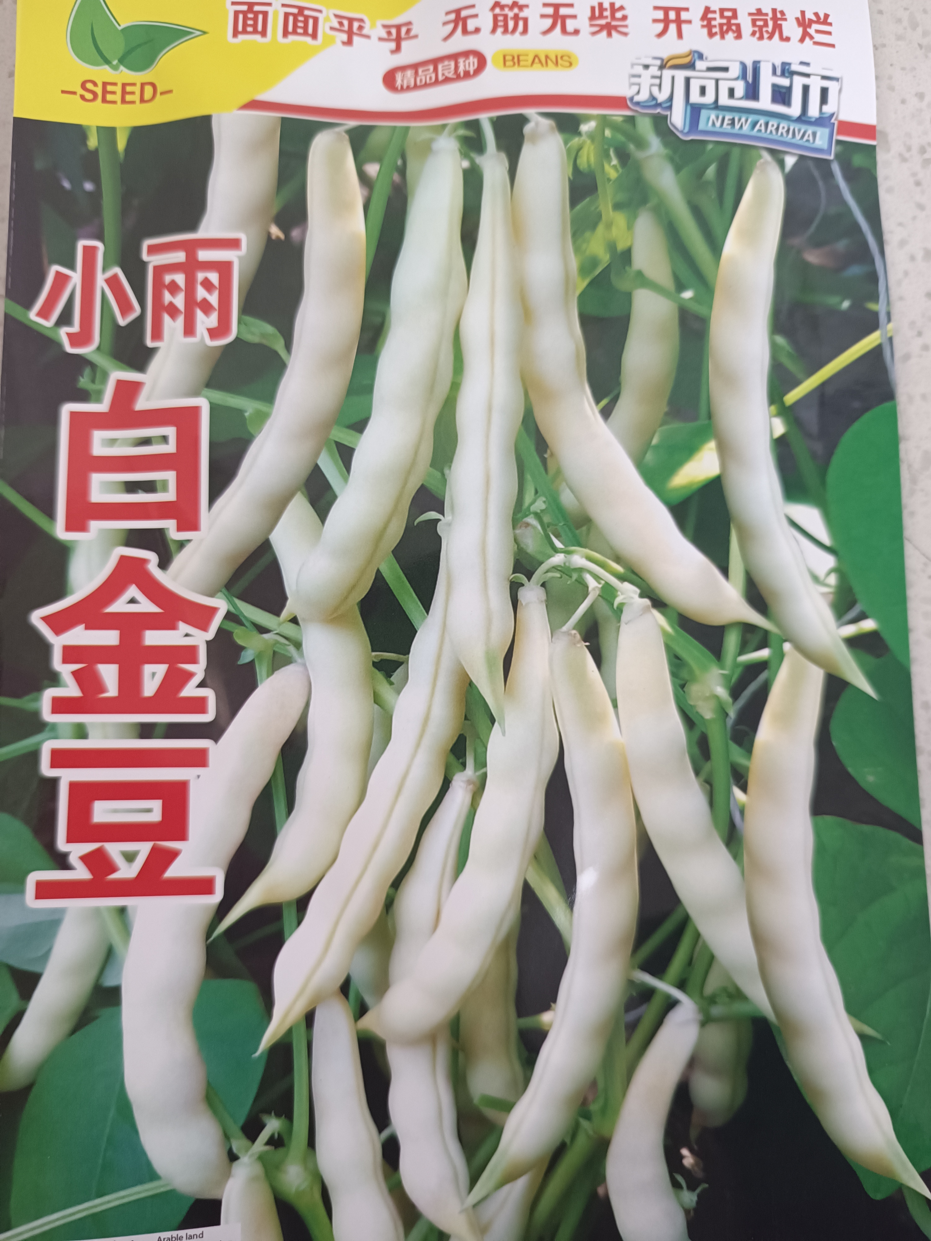 小雨白金豆豆角种子